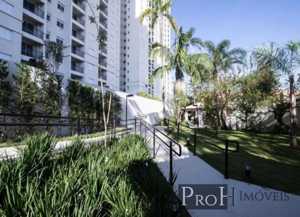 Imagem Apartamento com 2 Quartos à Venda, 62 m² em Jardim Olavo Bilac - São Bernardo Do Campo Imagem Apartamento com 2 Quartos à Venda, 62 m² em Jardim Olavo Bilac - São Bernardo Do Campo
