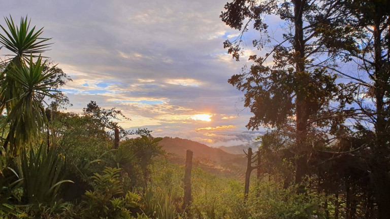 Imagem Casa com 6 Quartos à Venda, 3.300 m² em Campos Do Jordão