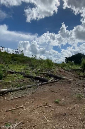 Chácara à Venda, 60.000 m² em Mato Queimado - Gramado