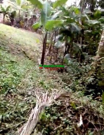 Imagem Chácara à Venda, 2.000 m² em Sob. Consulta - São José Dos Campos Imagem Chácara à Venda, 2.000 m² em Sob. Consulta - São José Dos Campos
