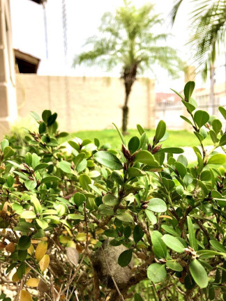 Imagem Casa com 3 Quartos à Venda, 130 m² em Praça - Tijucas