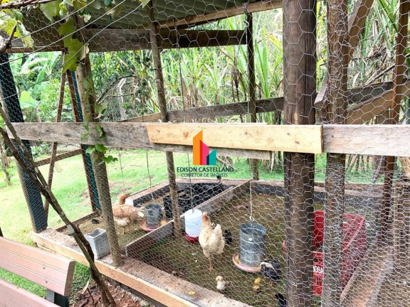 Imagem Imóvel com 4 Quartos à Venda, 4.200 m² em Marajoara - Campo Limpo Paulista Imagem Imóvel com 4 Quartos à Venda, 4.200 m² em Marajoara - Campo Limpo Paulista