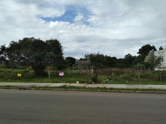 Imagem Terreno à Venda, 13.677 m² em Passo D'areia - Santa Maria Imagem Terreno à Venda, 13.677 m² em Passo D'areia - Santa Maria
