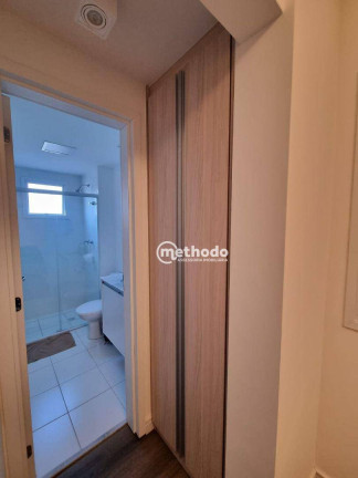 Imagem Apartamento com 3 Quartos à Venda, 80 m² em Jardim Nova Europa - Campinas Imagem Apartamento com 3 Quartos à Venda, 80 m² em Jardim Nova Europa - Campinas