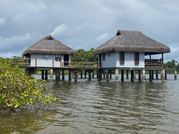Casa com 6 Quartos à Venda, 60.000 m² em Centro - Saubara