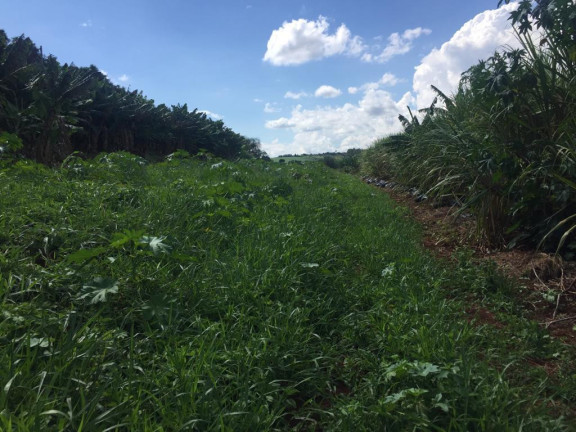 Imagem Chácara à Venda, 1 m² em Rural - Avaré Imagem Chácara à Venda, 1 m² em Rural - Avaré