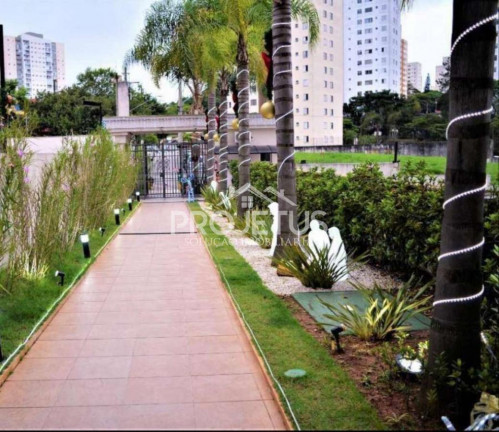 Imagem Apartamento com 3 Quartos à Venda, 121 m² em Jardim Celeste - São Paulo
