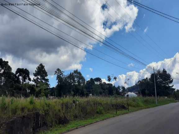 Imagem Terreno à Venda, 12.438 m² em Germânia - Nova Petrópolis Imagem Terreno à Venda, 12.438 m² em Germânia - Nova Petrópolis