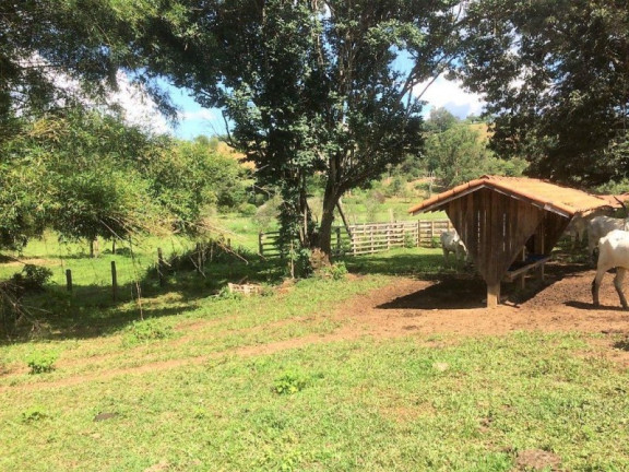 Imagem Imóvel com 3 Quartos à Venda, 448.000 m² em Roseta - Cambuí Imagem Imóvel com 3 Quartos à Venda, 448.000 m² em Roseta - Cambuí
