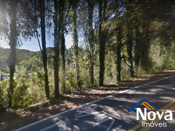 Imagem Imóvel à Venda, 2.500 m² em Piá - Nova Petrópolis Imagem Imóvel à Venda, 2.500 m² em Piá - Nova Petrópolis