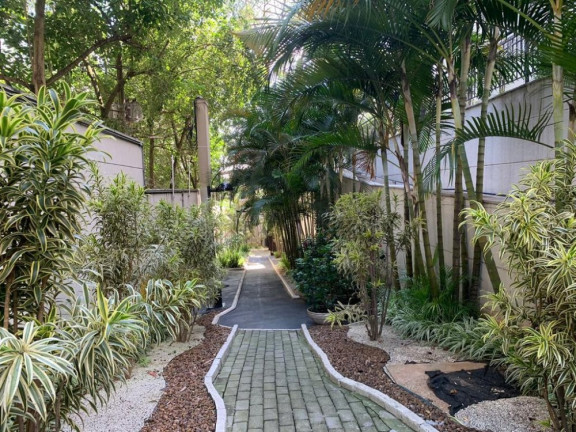 Imagem Apartamento com 3 Quartos à Venda, 70 m² em Vila Suzana - São Paulo Imagem Apartamento com 3 Quartos à Venda, 70 m² em Vila Suzana - São Paulo