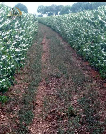 Imagem Fazenda à Venda, 31.860.000 m² em Zona Rural - Capelinha Imagem Fazenda à Venda, 31.860.000 m² em Zona Rural - Capelinha