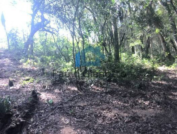 Imagem Terreno à Venda, 1.300 m² em Centro - Ibiúna Imagem Terreno à Venda, 1.300 m² em Centro - Ibiúna