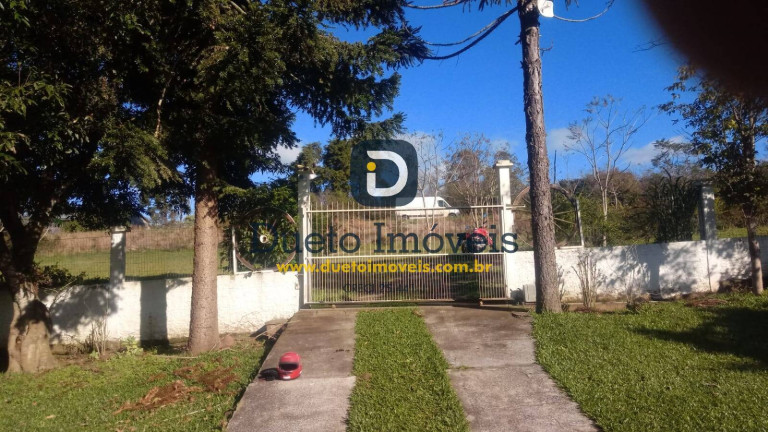 Imagem Chácara com 3 Quartos à Venda, 5 m² em Pinheiro Machado - Santa Maria
