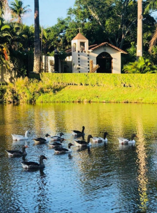Imagem Chácara com 4 Quartos à Venda, 60.000 m²