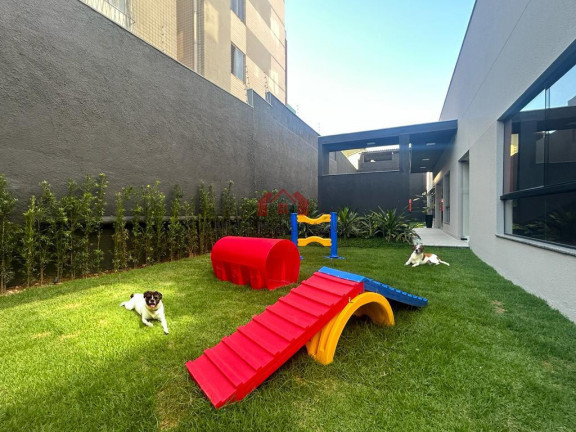 Imagem Apartamento com 2 Quartos à Venda, 64 m² em Padre Esutáquio - Belo Horizonte Imagem Apartamento com 2 Quartos à Venda, 64 m² em Padre Esutáquio - Belo Horizonte
