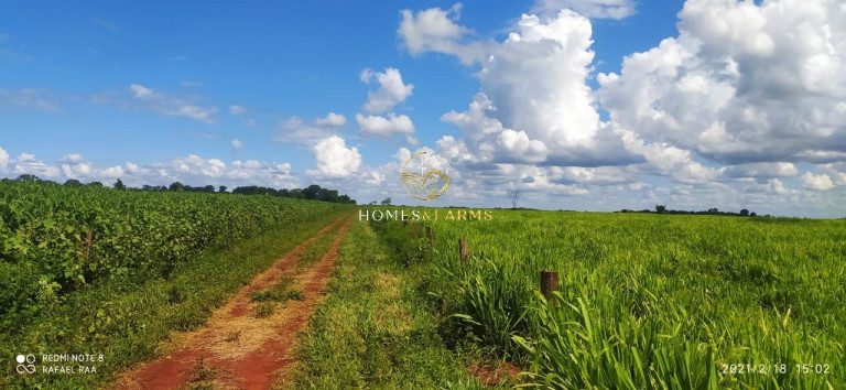 Imagem Imóvel com 3 Quartos à Venda, 423 m² em Zona Rural - Turvelândia Imagem Imóvel com 3 Quartos à Venda, 423 m² em Zona Rural - Turvelândia