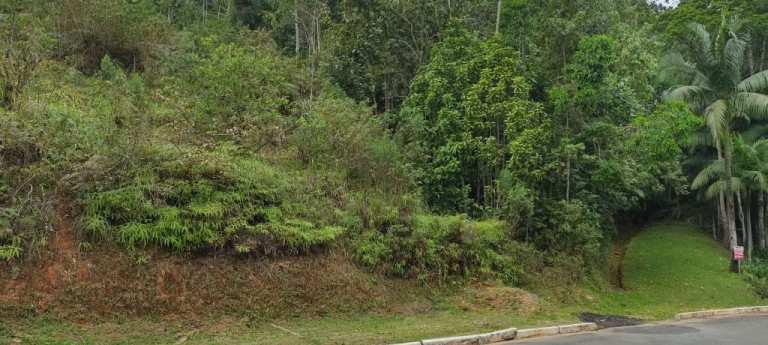 Imagem Terreno à Venda, 2.445 m² em Testo Central - Pomerode Imagem Terreno à Venda, 2.445 m² em Testo Central - Pomerode