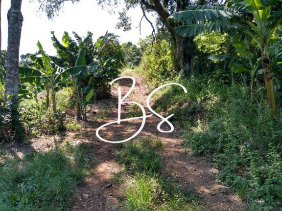 Imagem Imóvel à Venda, 340.000 m² em Linha 28 - Três Coroas Imagem Imóvel à Venda, 340.000 m² em Linha 28 - Três Coroas