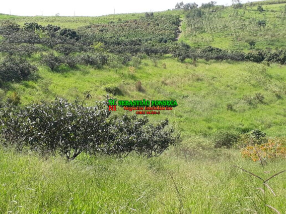 Chácara à Venda, 5 m² em Santa Isabel