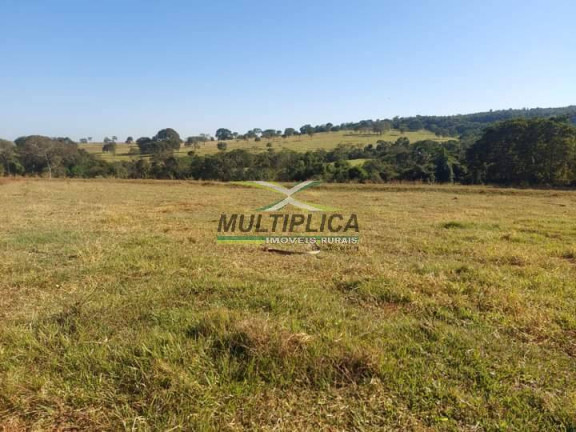 Imagem Fazenda à Venda, 251 m² em Ituiutaba Imagem Fazenda à Venda, 251 m² em Ituiutaba