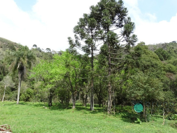 Imóvel à Venda, 120.000 m² em Zona Rural - Alfredo Wagner