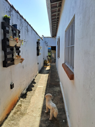Imagem Casa com 4 Quartos à Venda, em Jardim Das Rosas - Itu Imagem Casa com 4 Quartos à Venda, em Jardim Das Rosas - Itu