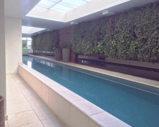 Imagem Apartamento com 2 Quartos à Venda, 50 m² em Aclimação - São Paulo Imagem Apartamento com 2 Quartos à Venda, 50 m² em Aclimação - São Paulo