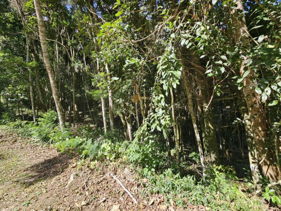 Imagem Terreno à Venda, 5.000 m² em Green Valleiy - Teresópolis