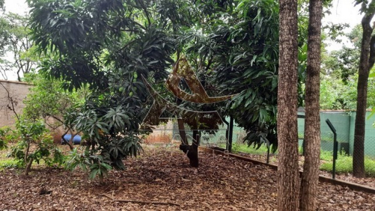 Imagem Imóvel com 1 Quarto à Venda, 5.000 m² em Itanhangá  - Ribeirão Preto