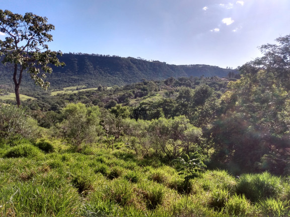 Imóvel à Venda, 22.000 m² em São Marcos - Bofete