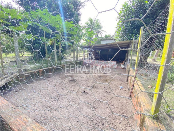 Imagem Fazenda à Venda, 400 m² em Alagoinhas Velha - Alagoinhas Imagem Fazenda à Venda, 400 m² em Alagoinhas Velha - Alagoinhas