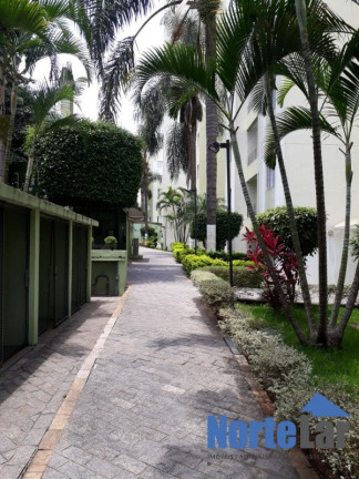 Imagem Apartamento com 2 Quartos à Venda, 49 m² em Vila Amélia - São Paulo