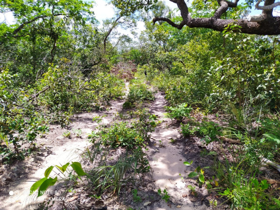 Imagem Imóvel à Venda,  em Mirador/ma - Mirador