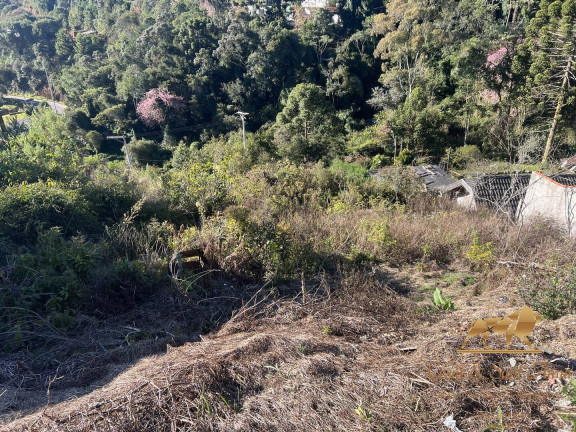 Imagem Terreno à Venda, 400 m² em Serra Azul - Campos Do Jordão Imagem Terreno à Venda, 400 m² em Serra Azul - Campos Do Jordão