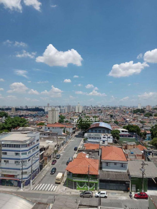 Imagem Apartamento com 3 Quartos à Venda, 63 m² em Vila Ivone - São Paulo