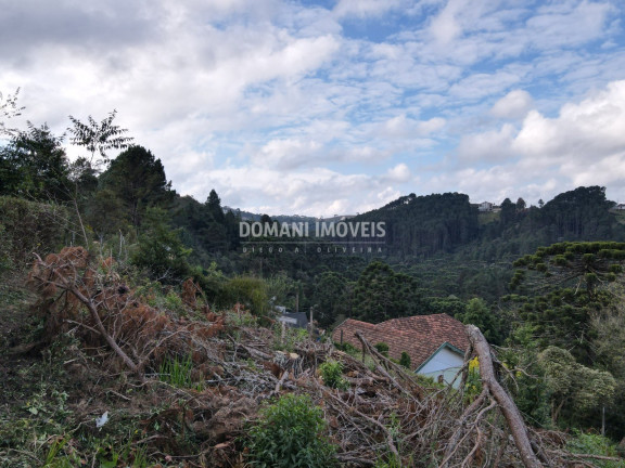 Terreno à Venda, 1.110 m² em Região De Descansópolis - Campos Do Jordão