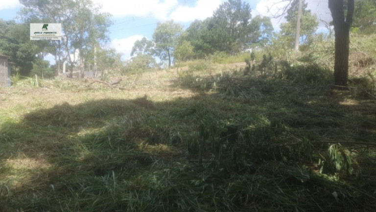 Terreno à Venda, 1.600 m² em Jardim Suíça Paulista - São Roque