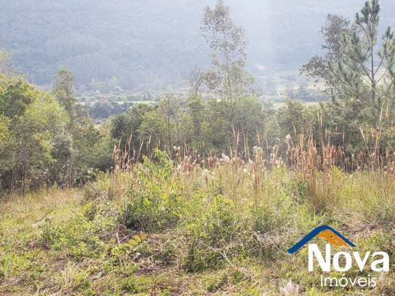 Imagem Imóvel à Venda, 120.000 m² em Linha Temerária - Nova Petrópolis Imagem Imóvel à Venda, 120.000 m² em Linha Temerária - Nova Petrópolis
