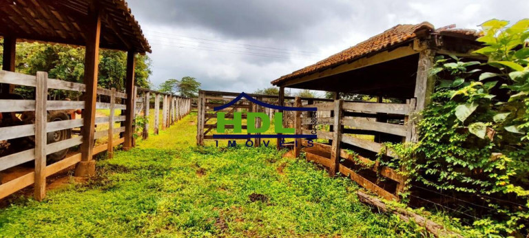 Imagem Chácara com 4 Quartos à Venda, 14 m² em Hidrolândia