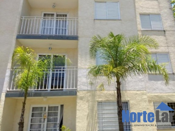 Imagem Apartamento com 3 Quartos à Venda, 60 m² em Vila Jaraguá - São Paulo