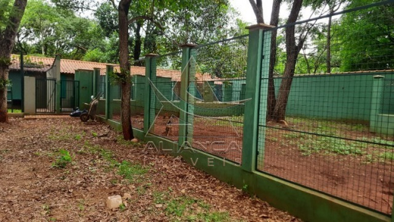 Imagem Imóvel com 1 Quarto à Venda, 5.000 m² em Itanhangá  - Ribeirão Preto