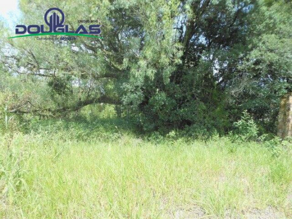 Imagem Imóvel Comercial à Venda, 13 m² em Viamão Imagem Imóvel Comercial à Venda, 13 m² em Viamão