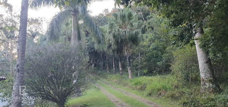 Imagem Imóvel com 4 Quartos à Venda, 7.000 m² em Chácaras Copaco - Arujá Imagem Imóvel com 4 Quartos à Venda, 7.000 m² em Chácaras Copaco - Arujá