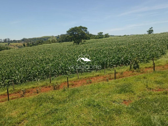 Imagem Chácara à Venda, 9 m² em Mandaguari Imagem Chácara à Venda, 9 m² em Mandaguari