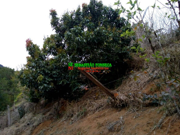 Imagem Chácara à Venda, 2.000 m² em Sob. Consulta - São José Dos Campos Imagem Chácara à Venda, 2.000 m² em Sob. Consulta - São José Dos Campos
