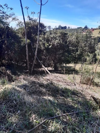 Terreno à Venda, 2.960 m² em Canedos - Piracaia