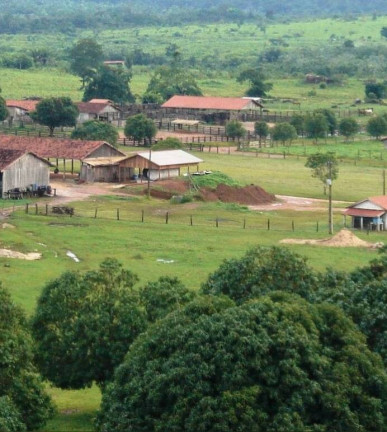 Imagem Fazenda à Venda, 150 m² em Cidade Morena - Aripuanã Imagem Fazenda à Venda, 150 m² em Cidade Morena - Aripuanã
