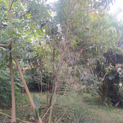 Imagem Fazenda à Venda, 2.000 m² em Chácara Bom Tempo - Franco Da Rocha Imagem Fazenda à Venda, 2.000 m² em Chácara Bom Tempo - Franco Da Rocha