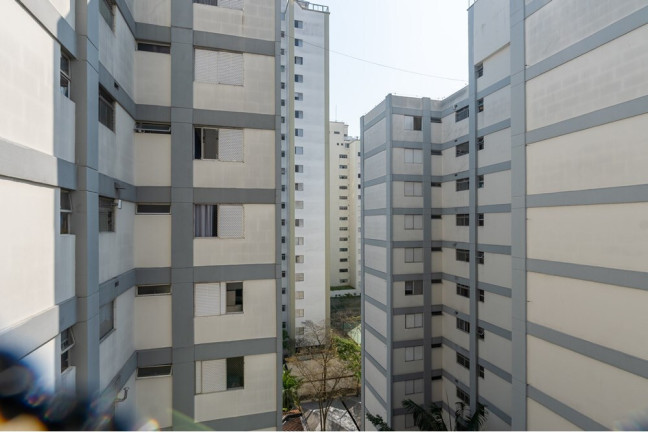 Imagem Apartamento com 3 Quartos à Venda, 74 m² em Vila Sofia - São Paulo